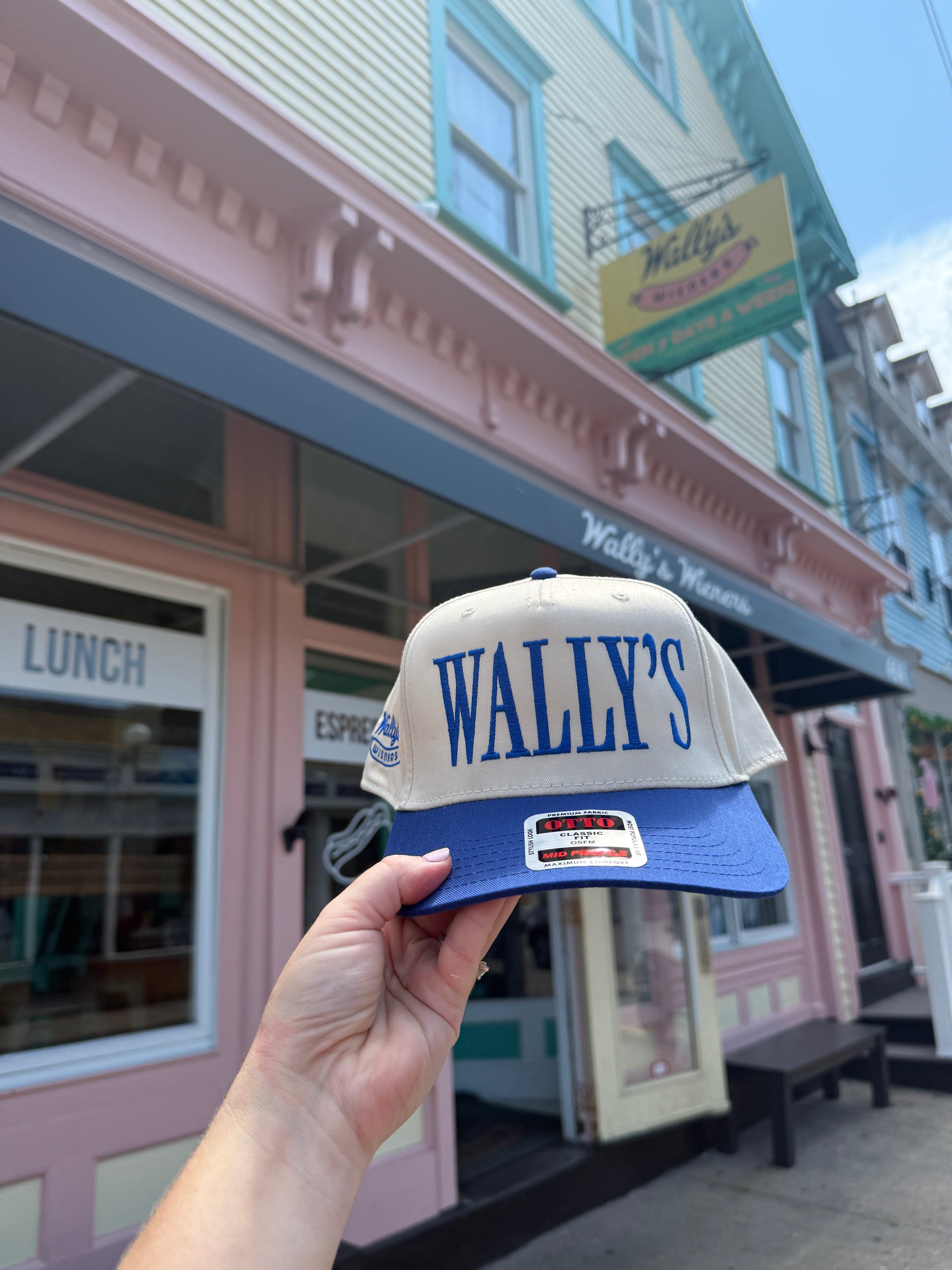 WALLY’S Blue/Tan Hat
