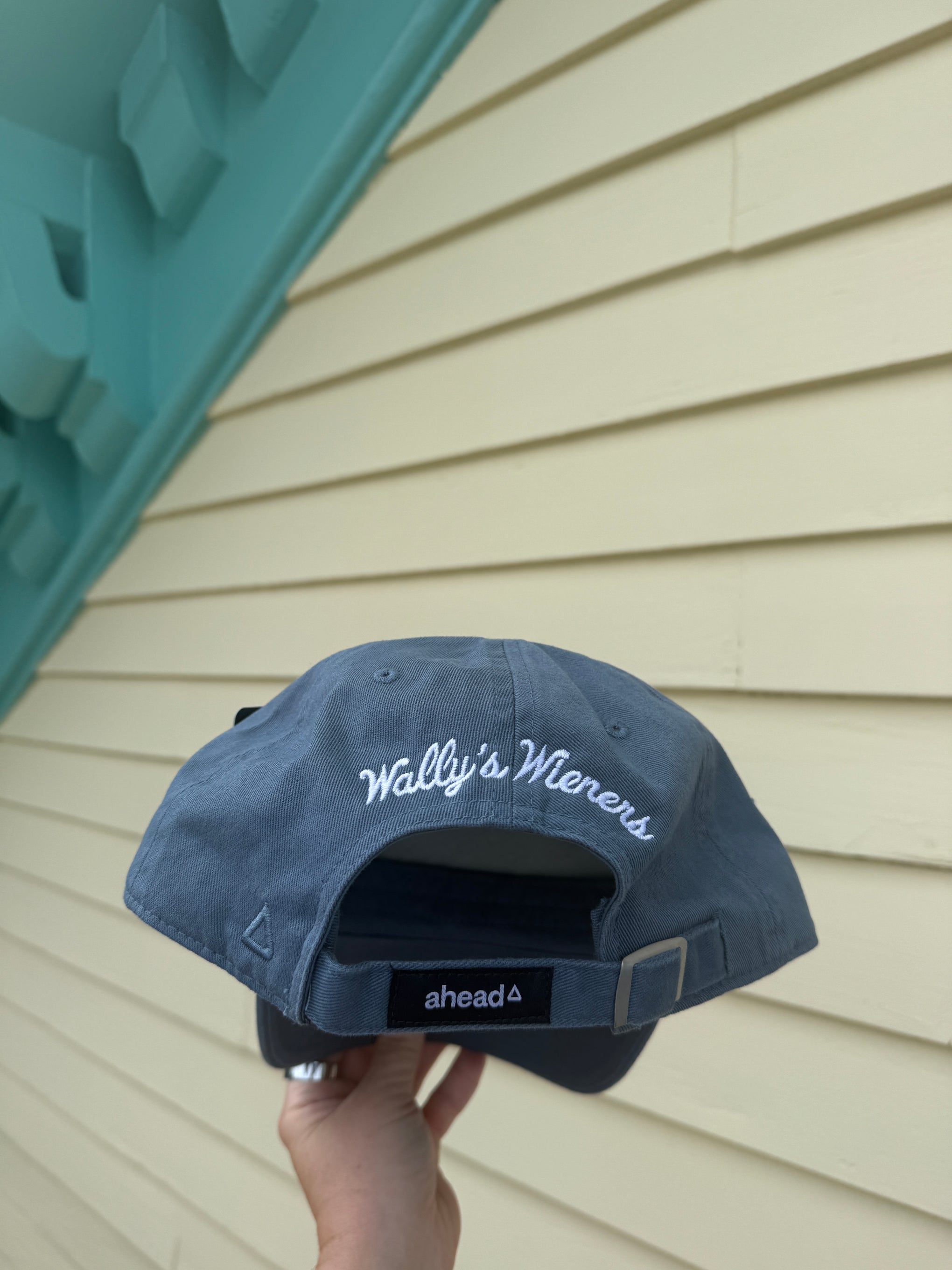 Blue Hot Dog Hat