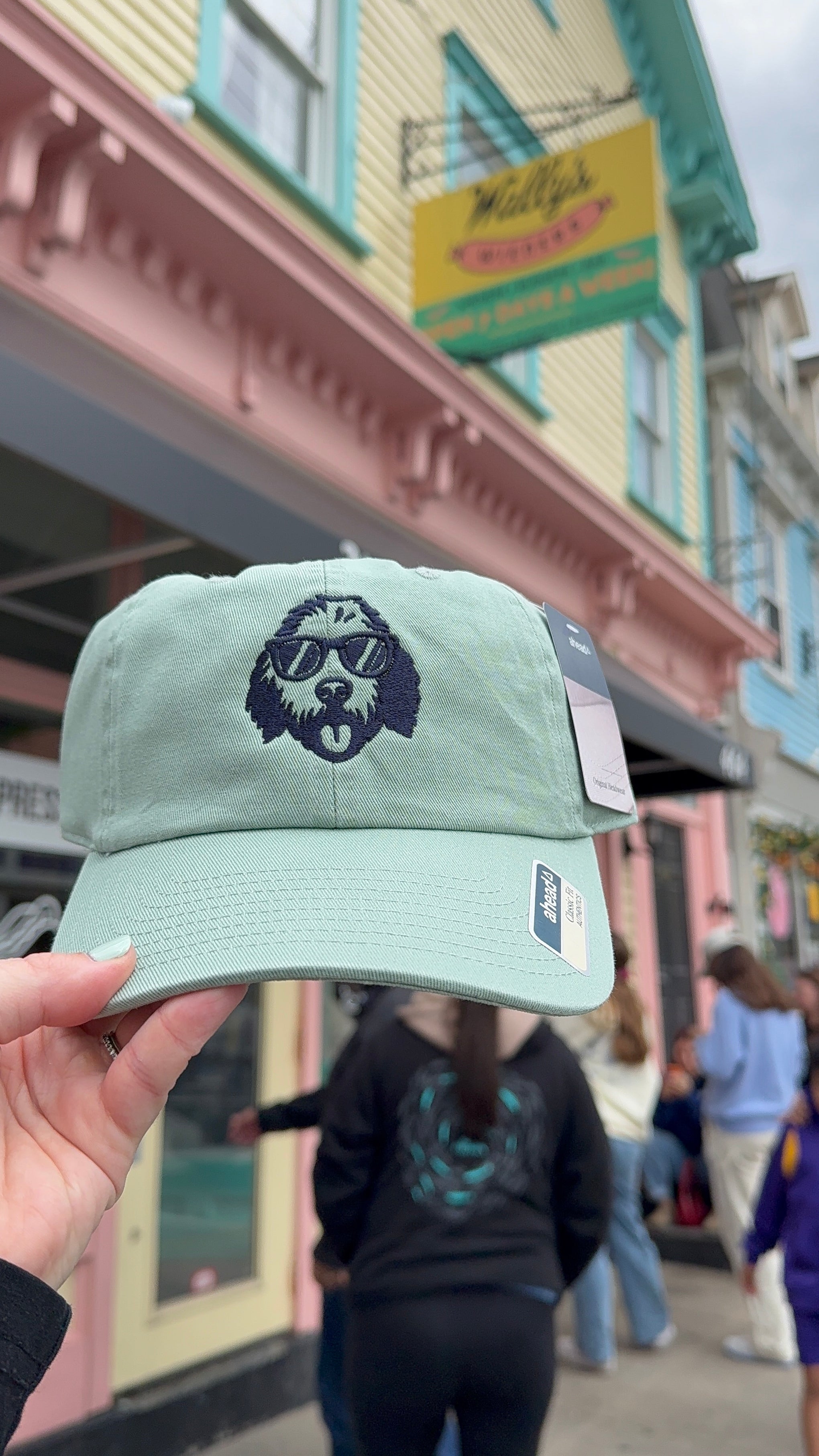 Wally Dog Green Hat
